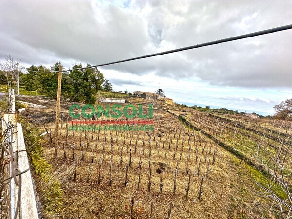 Terreno edificabile Aci Bonaccorsi - foto 3