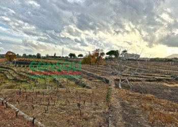Terreno edificabile Aci Bonaccorsi - foto 1