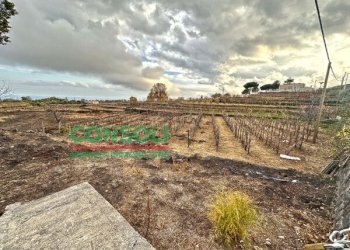 Terreno edificabile Aci Bonaccorsi - foto 2