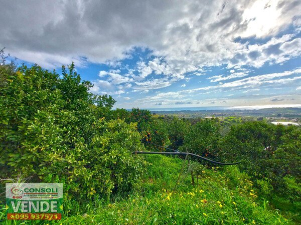 Terreno edificabile Fiumefreddo di Sicilia - foto 3