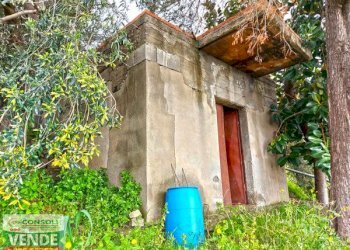 Terreno edificabile Fiumefreddo di Sicilia - foto 2