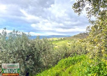 Terreno edificabile Fiumefreddo di Sicilia - foto 4