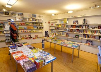 Commercial Premises Moncalieri - photo 12