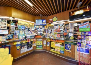 Commercial Activity Torino (neighborhood Campidoglio) - photo 5