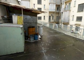 Shop Torino (neighborhood Crocetta) - photo 11