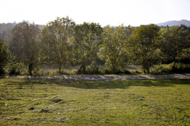 Terreno agricolo Chieri - foto 3