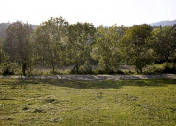 Agricultural land Chieri - photo 3