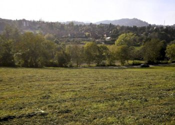 Agricultural land Chieri - photo 4