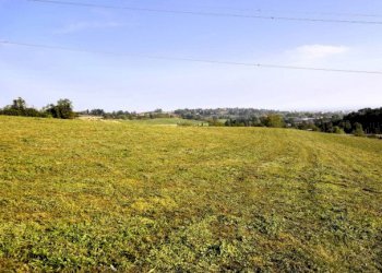 Agricultural land Chieri - photo 7