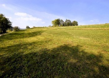 Agricultural land Chieri - photo 9