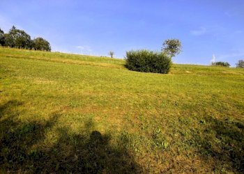 Agricultural land Chieri - photo 10
