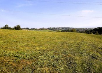 Agricultural land Chieri - photo 11