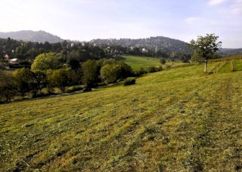 Agricultural land Chieri - photo 12