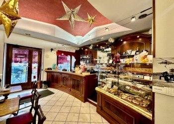 Commercial Activity Torino (neighborhood Crocetta) - photo 1