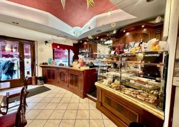 Commercial Activity Torino (neighborhood Crocetta) - photo 4