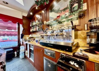 Commercial Activity Torino (neighborhood Crocetta) - photo 9