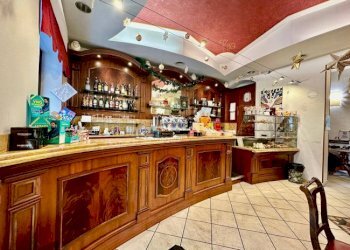 Commercial Activity Torino (neighborhood Crocetta) - photo 11