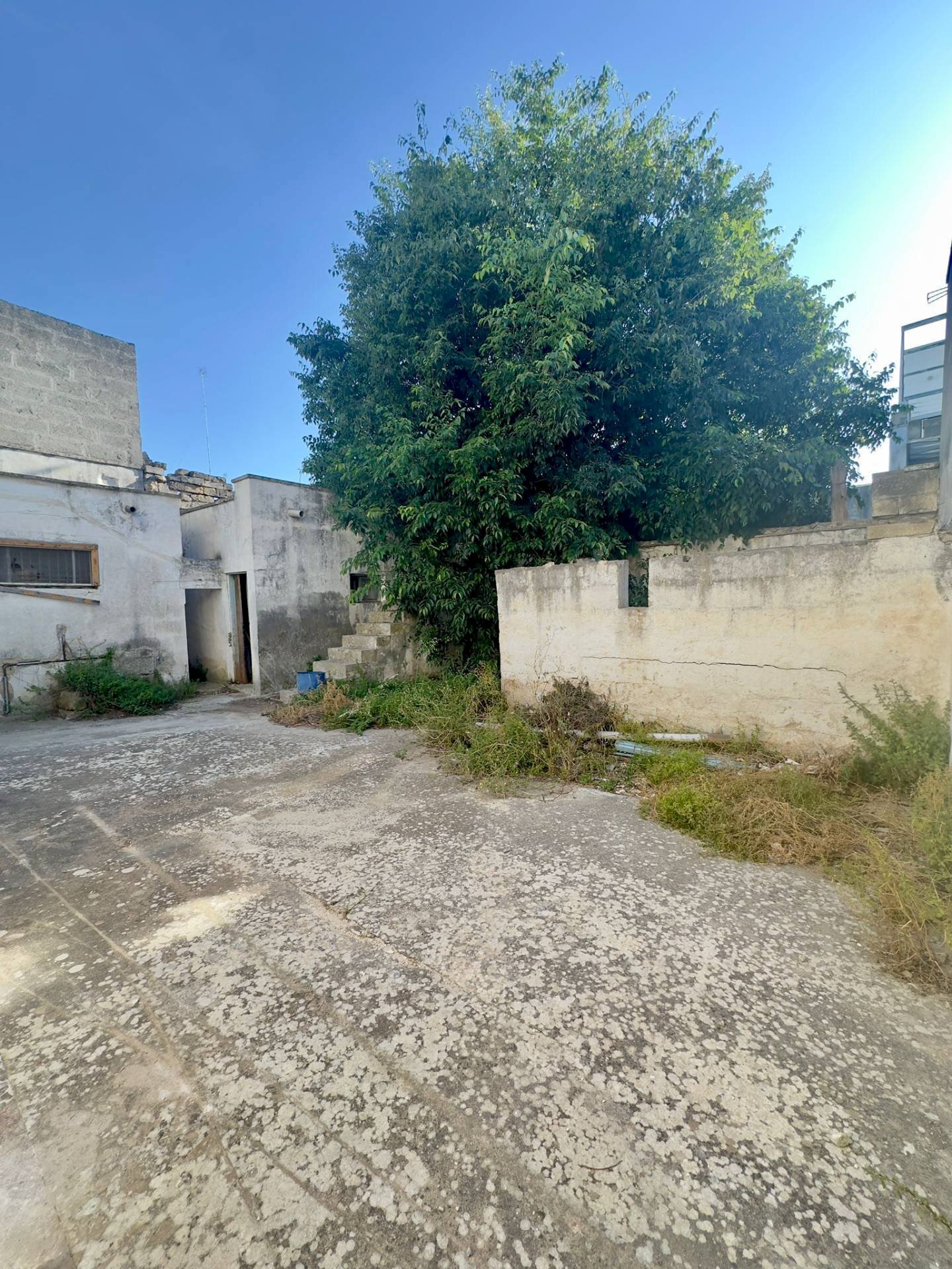 Foto 3 - Casa indipendente Via Mazzini, Surbo - foto 3