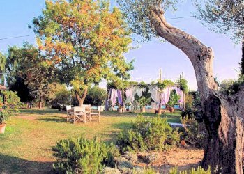 Foto 8 - Rustico Manciano - foto 8