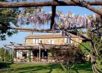 Foto 10 - Rustico Manciano - foto 10