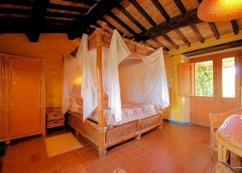 Foto 19 - Rustico Manciano - foto 19