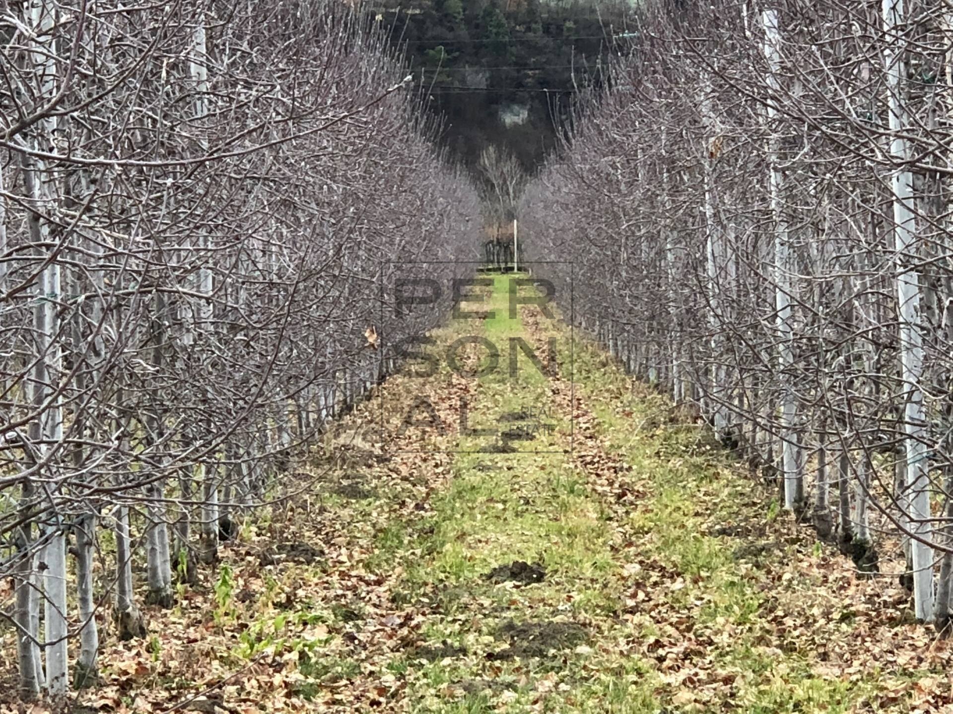 Foto 2 - Agricultural land Dro - photo 2