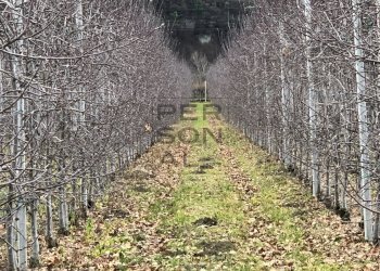 Foto 2 - Terreno agricolo Dro - foto 2