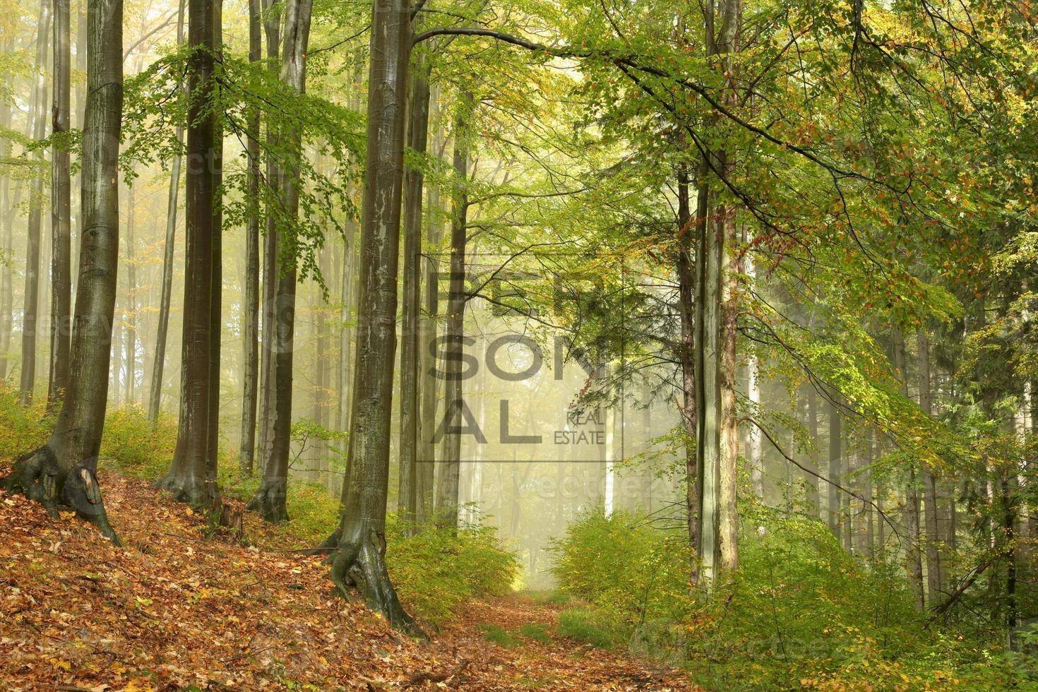 Foto 1 - Agricultural land Cavedine - photo 1