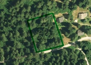 Foto 1 - Terreno edificabile Pieve Tesino - foto 1