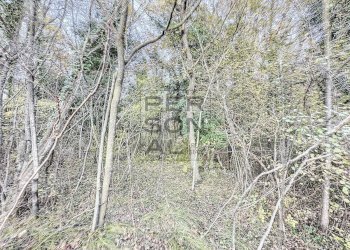 Foto 4 - Rustico Madruzzo - foto 4