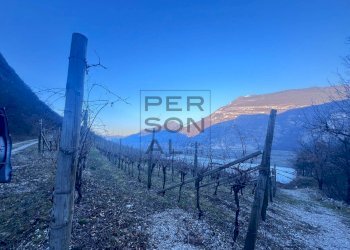 Foto 1 - Terreno agricolo Aldeno - foto 1