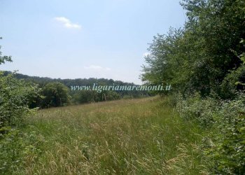 Foto 3 - Rustico LOC TOSI, Dego - foto 3