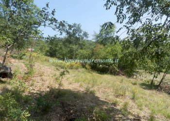 Foto 6 - Rustico LOC TOSI, Dego - foto 6