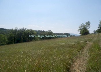 Foto 14 - Rustico LOC TOSI, Dego - foto 13