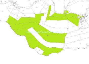 Foto 15 - Rustico LOC TOSI, Dego - foto 14