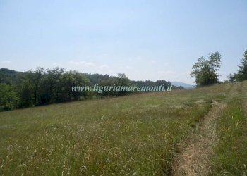 Foto 24 - Rustico LOC TOSI, Dego - foto 23