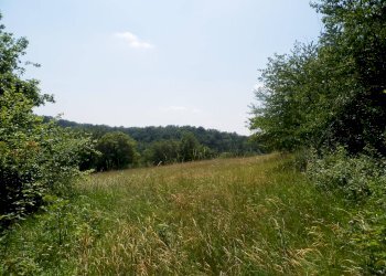 Foto 28 - Rustico LOC TOSI, Dego - foto 27