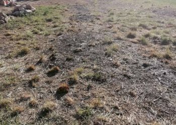 Foto 15 - Casa indipendente loc marcagiolo montela
 
46, Bardineto - foto 14