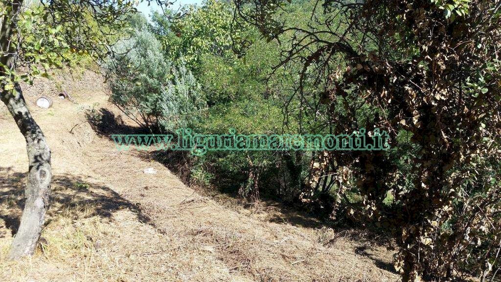 Foto 5 - Terreno agricolo via monteprato, Savona - foto 3