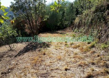 Foto 8 - Terreno agricolo via monteprato, Savona - foto 6