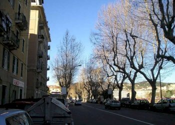 Foto 5 - Negozio via nostra signora degli angeli
 
3, Savona - foto 4