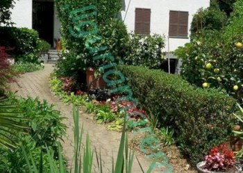 Foto 2 - Casa indipendente via g. marconi, Millesimo - foto 2