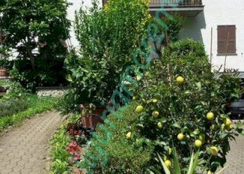 Foto 4 - Casa indipendente via g. marconi, Millesimo - foto 3