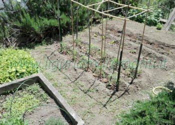 Foto 5 - Villa a Schiera via paolo cappa
 
8, Dego - foto 4