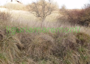 Foto 14 - Rustico loc vigna, Mioglia - foto 13