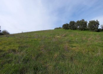 Foto 12 - Casa indipendente via Sant'Orsola
 
6, Montottone - foto 12