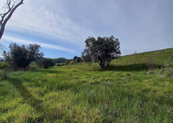 Foto 15 - Casa indipendente via Sant'Orsola
 
6, Montottone - foto 15