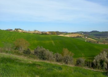 Foto 16 - Casa indipendente via Sant'Orsola
 
6, Montottone - foto 16