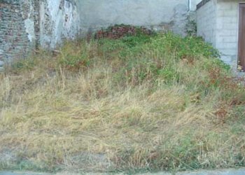 Foto 11 - Casa semi indipendente LOC. GIULIANI, Pareto - foto 11