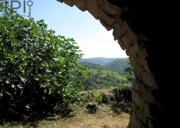 Foto 21 - Rustic scaletta uzzone, Castelletto Uzzone - photo 21